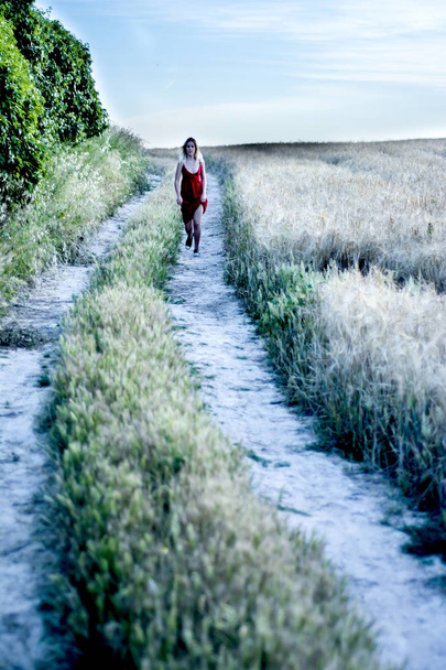 Beautiful blond woman in a red dress on a path in the wheat fiel - Valokuva, kuva