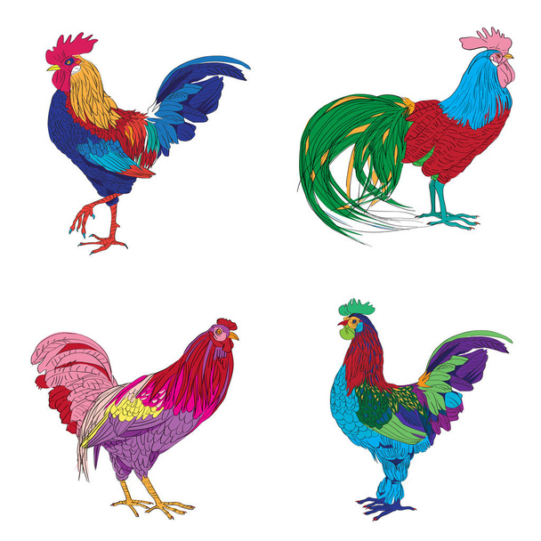 four roosters series - Photo, Image
