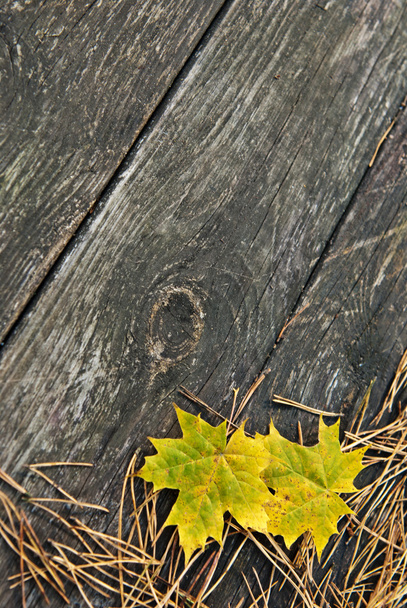 houten herfst achtergrond met fir naalden en gele bladeren - Foto, afbeelding