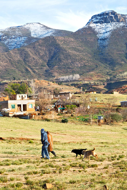  nel villaggio di strada del Lesotho vicino alla montagna
   - Foto, immagini