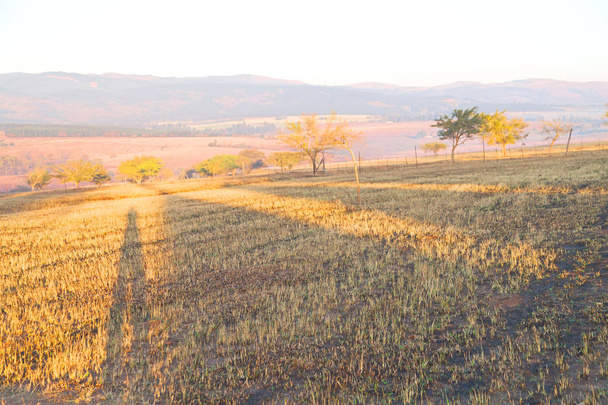   в Свазиленде заповедник
  - Фото, изображение