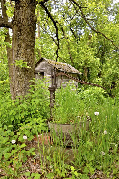 Eski el pompası ve evin dışında - Fotoğraf, Görsel
