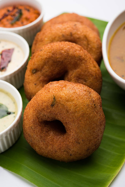 comida del sur de la India llamada vada sambar o sambar vada o wada, servido con coco, chutney verde y rojo y café caliente al estilo del sur de la India, enfoque selectivo
 - Foto, Imagen
