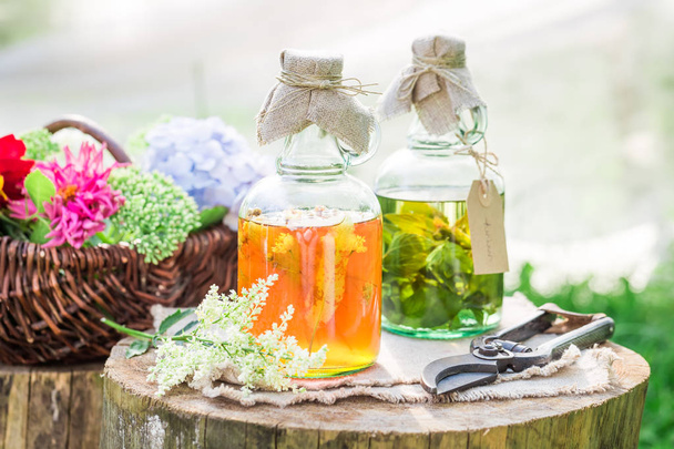 Healing herbs in bottles as natural medicine in summer - Foto, Imagem