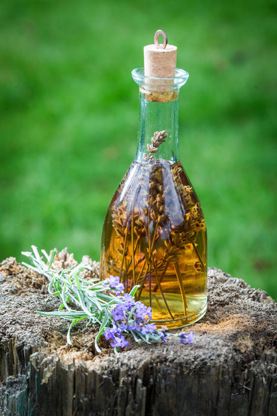 Homemade tincture made of lavender in summer - Φωτογραφία, εικόνα
