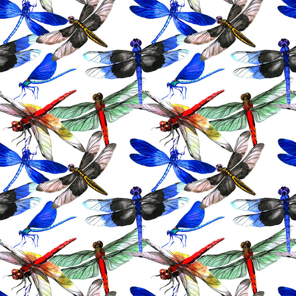 Insect dragonfly pattern in a watercolor style isolated. - 写真・画像