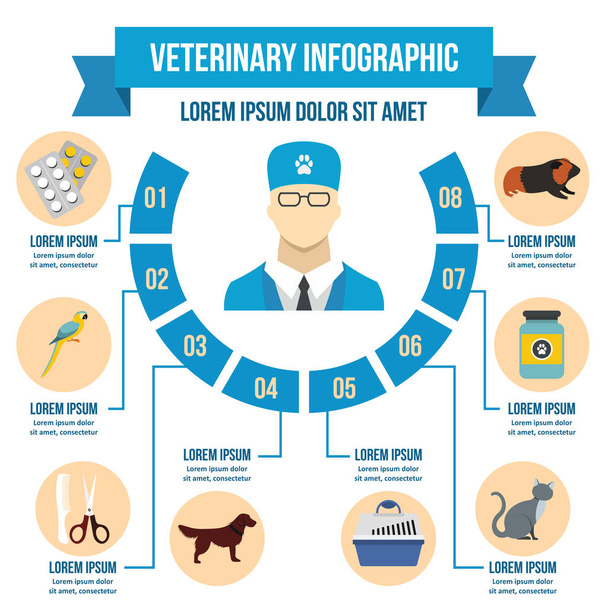 Vet clinic infographic concept, flat style - Vector, Image