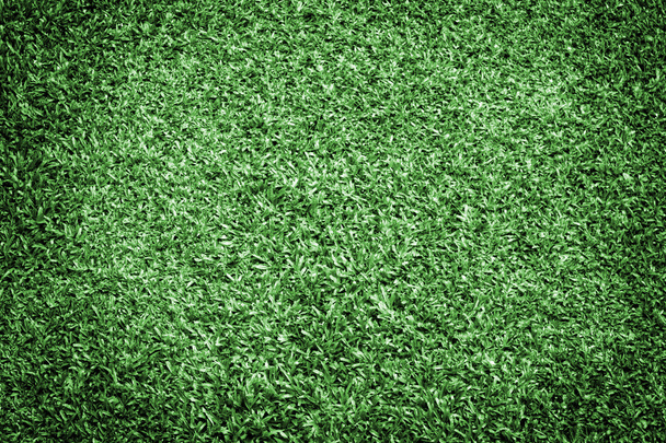 Healthy Grass Texture - Foto, imagen