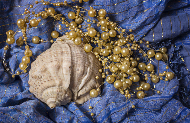 The shell with a pearl beads lies on blue background - Photo, Image