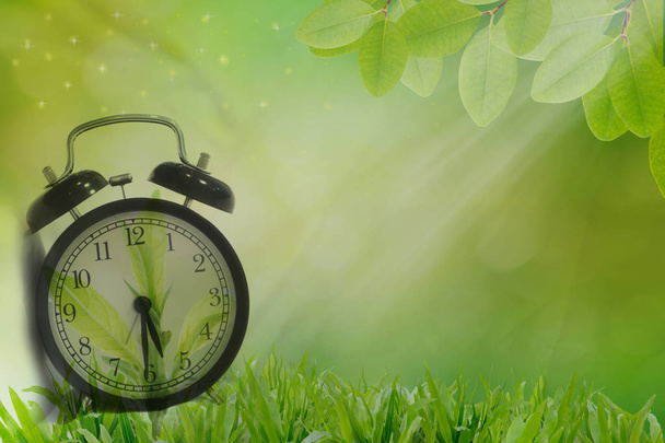 Relógio despertador no início da manhã fresca grama verde, conc vida saudável
 - Foto, Imagem