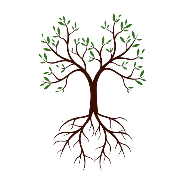 Natural Tree with Leaves and Roots. Vector Illustration. - Vector, Image