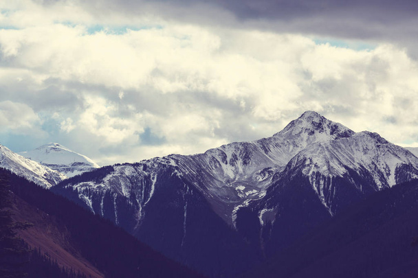 Гірський краєвид в Скелястих горах Колорадо - Фото, зображення