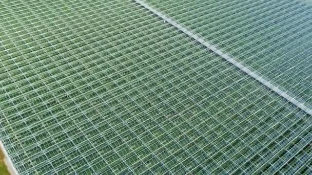  zöldség előállító mezőgazdasági üvegházak  - Felvétel, videó