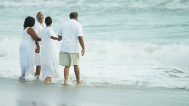 Amici che camminano sulla spiaggia
 - Filmati, video
