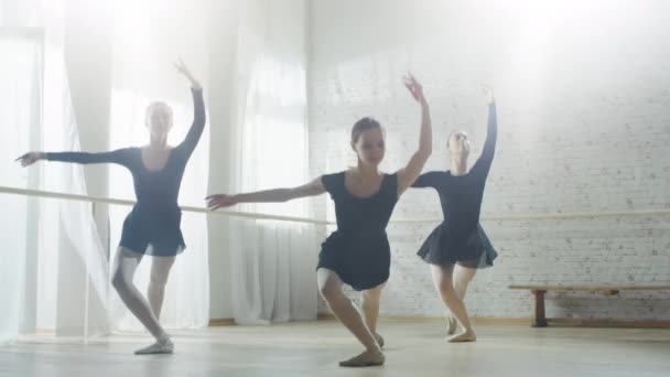Gorgeous Ballerinas Synchronously Dancing.  - Záběry, video