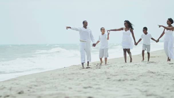 Famiglia che si tiene per mano sulla spiaggia
  - Filmati, video