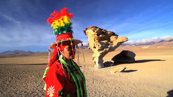 Βολιβίας θηλυκό Eduardo Avaroa αποθεματικό - Πλάνα, βίντεο