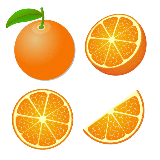 Collection of whole and sliced orange fruits isolated on white background. Vector - Wektor, obraz
