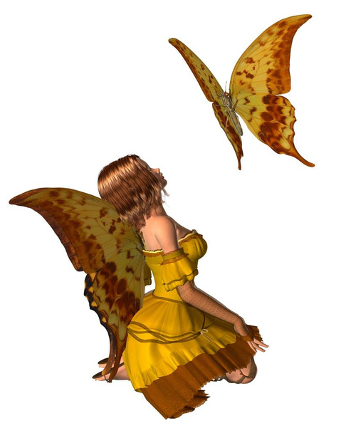 Hada mariposa cola de golondrina - 2
 - Foto, imagen