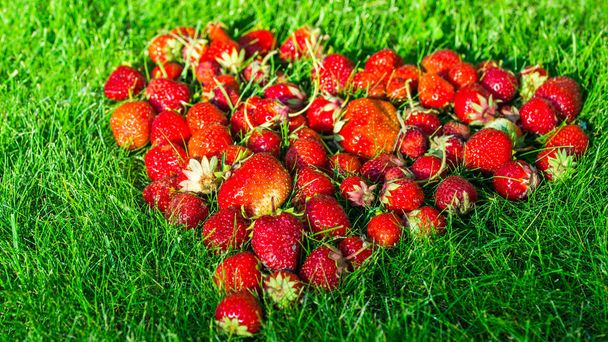 Heart made of strawberries on a green lawn - 写真・画像
