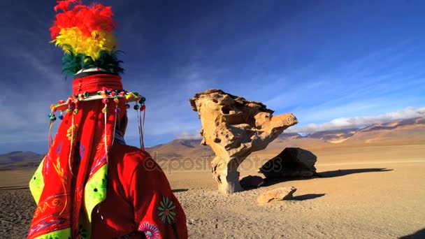 Βολιβίας θηλυκό Eduardo Avaroa αποθεματικό - Πλάνα, βίντεο