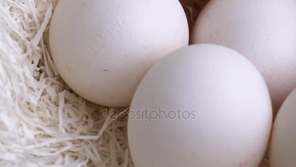 Φωλιά με κότες άσπρα αυγά - Πλάνα, βίντεο