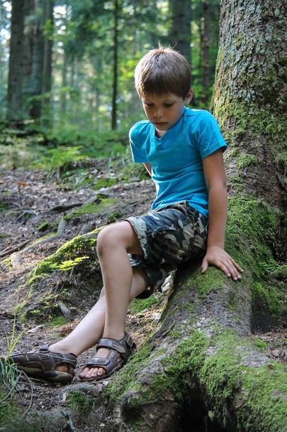 Chico guapo sentado en el bosque de verano
 - Foto, imagen