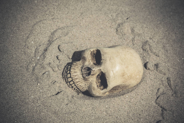 Bodegón con cráneo
  - Foto, Imagen