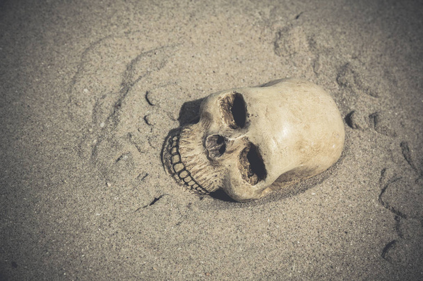 Nature morte avec un crâne
  - Photo, image
