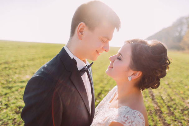 Close-up side portrait of the newlywed couple at the beautiful background of the field. - Фото, зображення