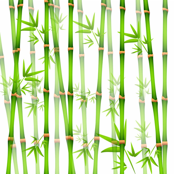 Векторная иллюстрация фона с реалистичным бамбуком
 - Вектор,изображение