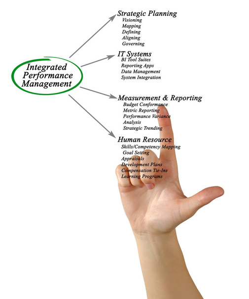 Diagram of Integrated Performance Management - Photo, Image