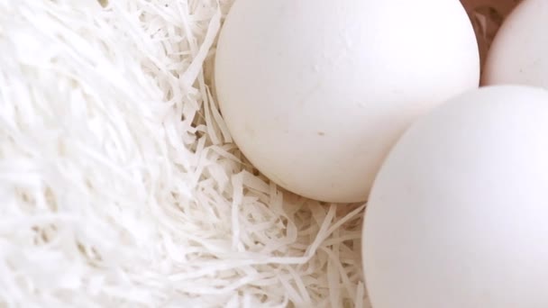 Λευκό κότες τα αυγά σε φωλιά. Προβολή μακροεντολών. - Πλάνα, βίντεο