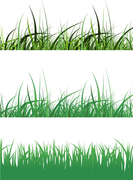 Vector flat grass set isolated on white background. Horizontal row of grass in cartoon style. Detailed illustration of herbs. Green grass pattern for illustration and game design. Abstract grass. - Vector, Image