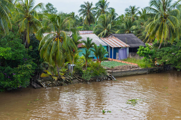 Casas de zancos junto al río en el delta del Mekong
 - Foto, Imagen
