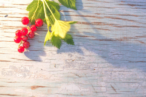 Berries of red currant on a blue wooden background. - Foto, Bild
