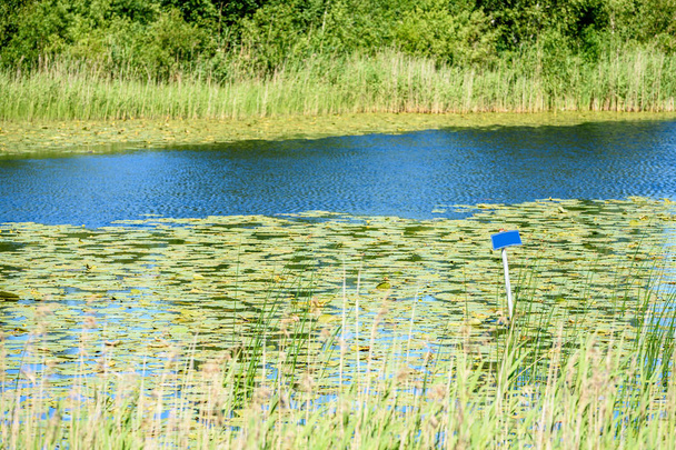Reflecties in de kalme meerwater met waterlelies en lege b - Foto, afbeelding