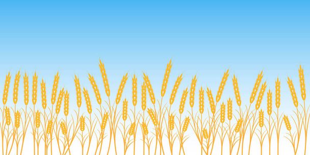 青い空を背景にバナー麦畑 - ベクター画像