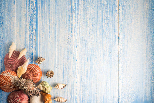 shell on wood texture background, colorful  background - Foto, afbeelding