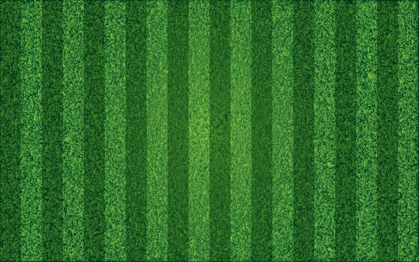 Grass sport field, lanes. Vector illustration - Vector, Image
