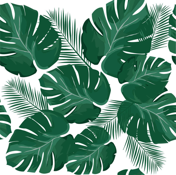 Vector hojas de palma
 - Vector, imagen