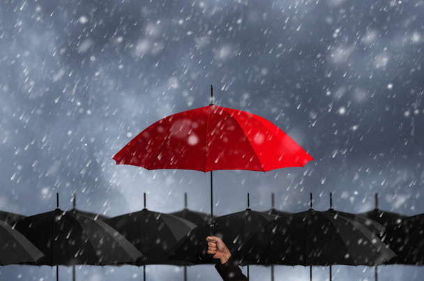 siyah şemsiye kütlesi içinde renkli şemsiye - Fotoğraf, Görsel