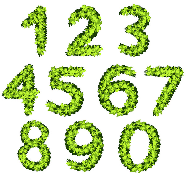 Font design for numbers with grass texture - Vector, Image
