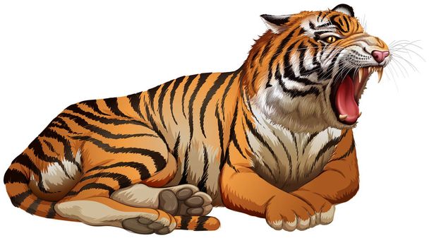 Divoký tygr zařval na bílém pozadí - Vektor, obrázek