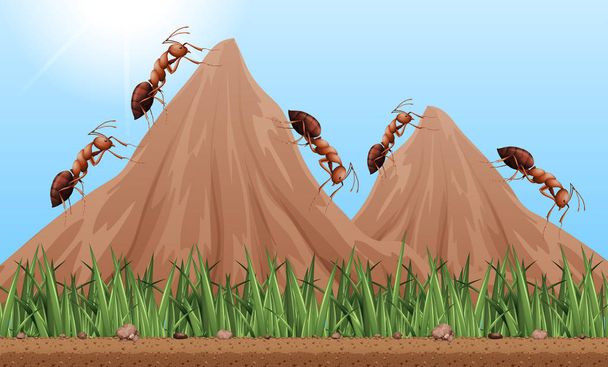 Багато мурах піднімаються в гори
 - Вектор, зображення