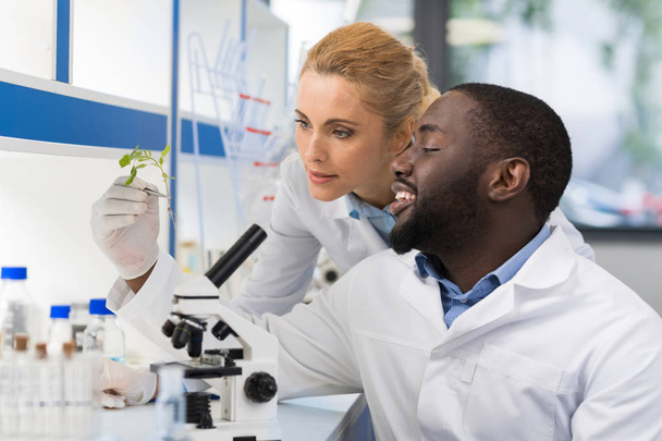 Scientists Looking At Sample Of Plant Working In Genetics Laboratory, Mix Race Couple Of Researchers Analyzing Result Of Experiment - Photo, image