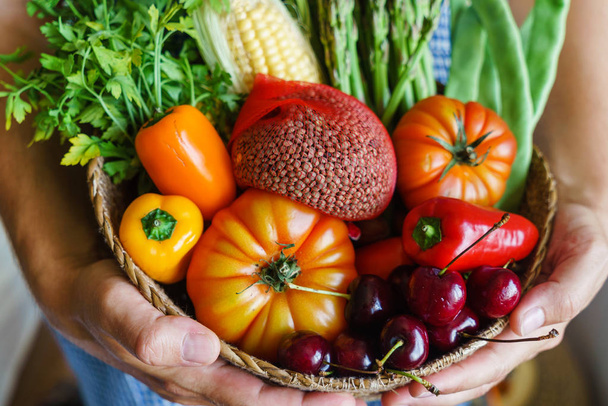 Hands holding assorted vagetables in basket - Photo, Image