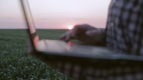 Genç çiftçi bir laptop gündoğumu, buğday yeşil bir alanda dururken gözlemleri kaydeder - Video, Çekim