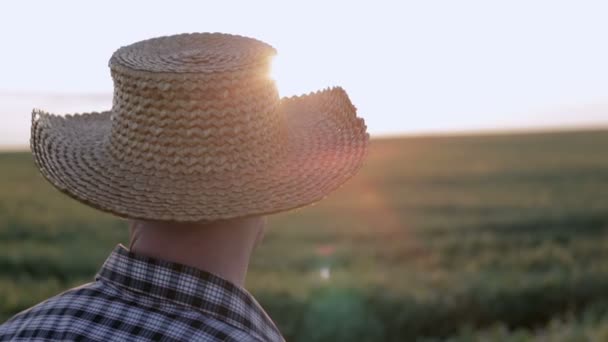 Un granjero con sombrero de paja inspeccionando campos al amanecer. Movimiento lento
 - Metraje, vídeo