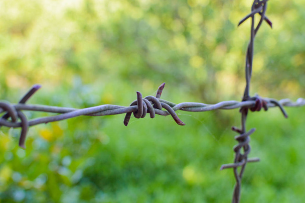 Barbed wire on fence - Photo, Image